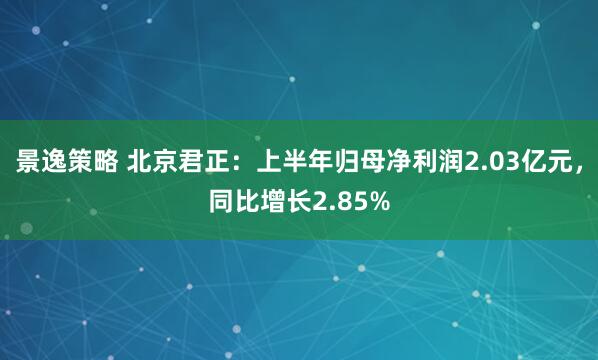 景逸策略 北京君正：上半年归母净利润2.03亿元，同比增长2.85%