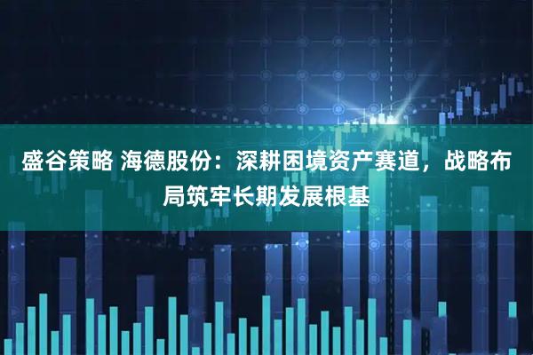 盛谷策略 海德股份：深耕困境资产赛道，战略布局筑牢长期发展根基