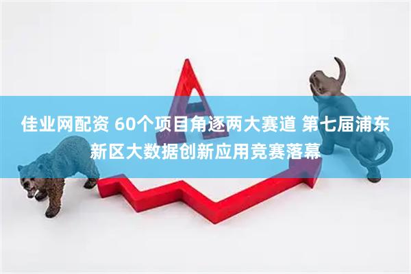 佳业网配资 60个项目角逐两大赛道 第七届浦东新区大数据创新应用竞赛落幕