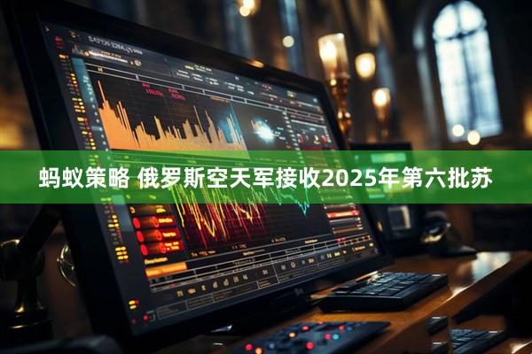 蚂蚁策略 俄罗斯空天军接收2025年第六批苏